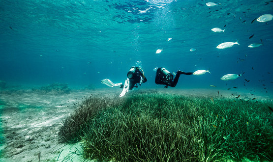 PADI Discover Scuba Diving